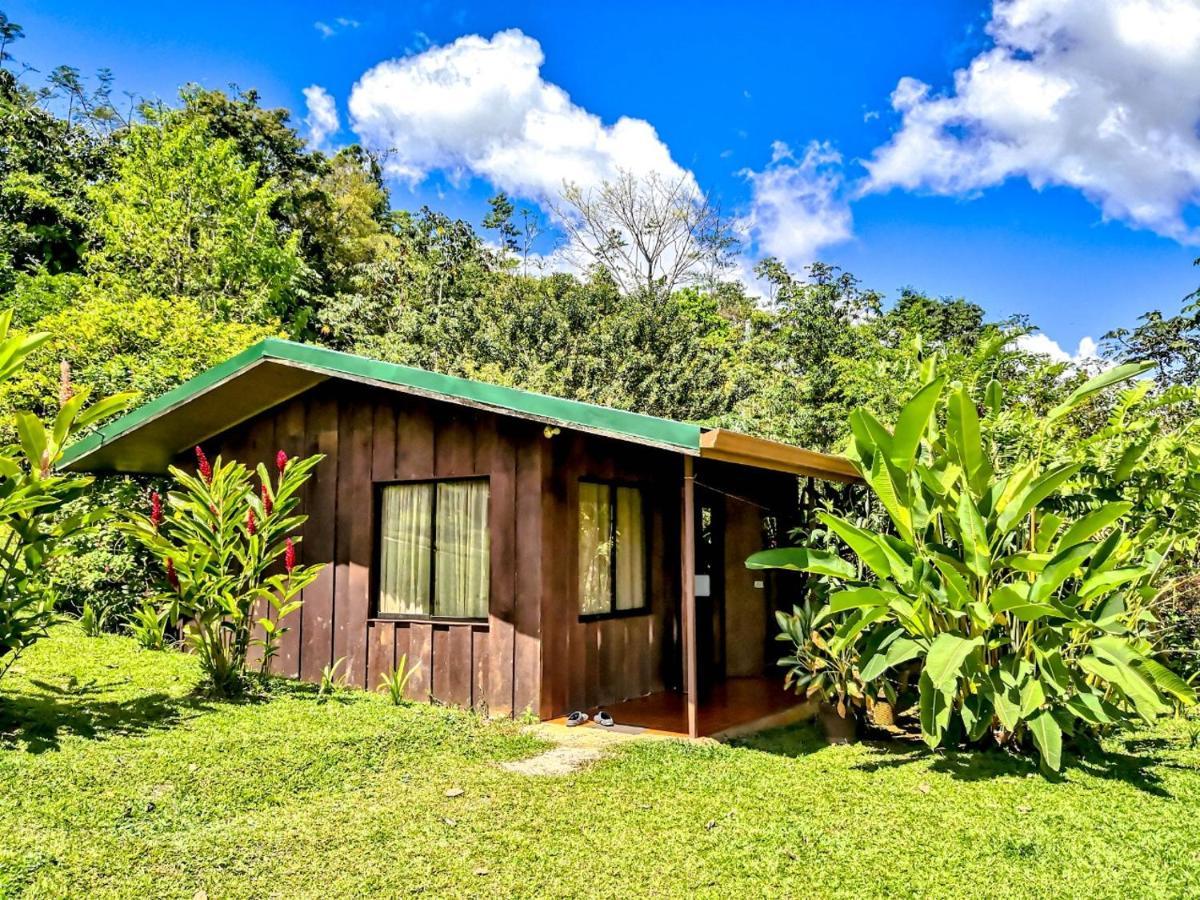 Cabinas Montañas del Tenorio Rio Celeste Exterior foto